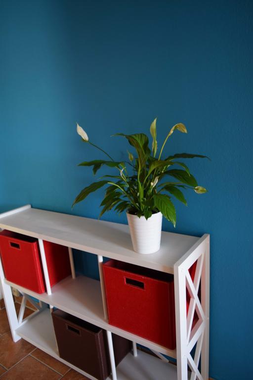 Obstkorb Stralsund Apartment ห้อง รูปภาพ
